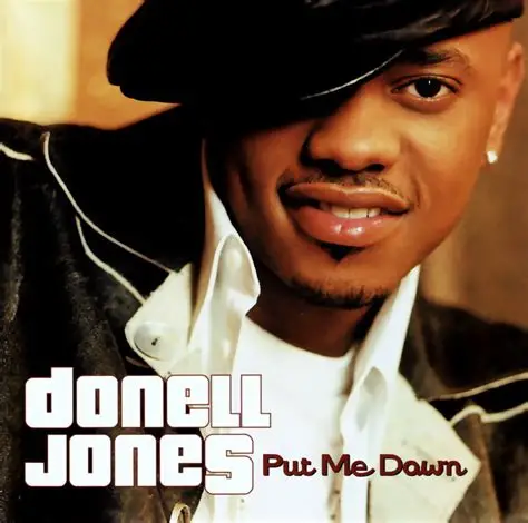 Put Me Down artwork